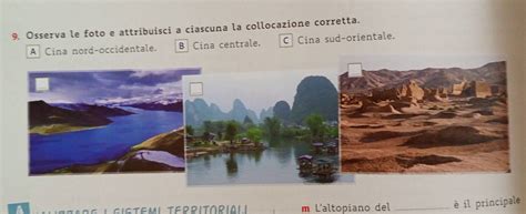 a.p.i.c.e cina
